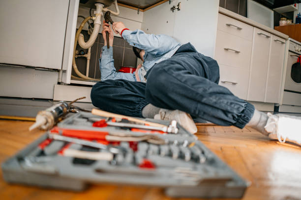 Best Toilet Repair Services  in Spring Creek, NV