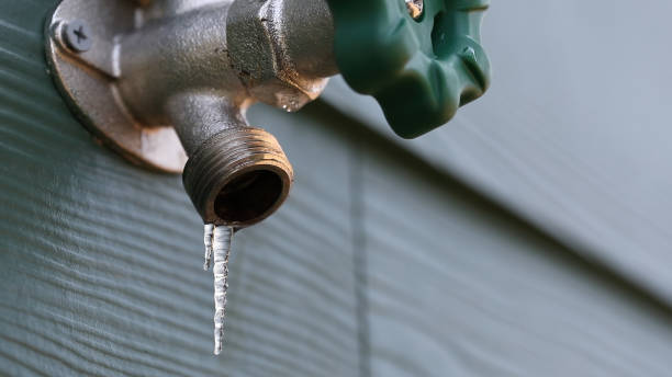 Best Gas Line Repair  in Spring Creek, NV